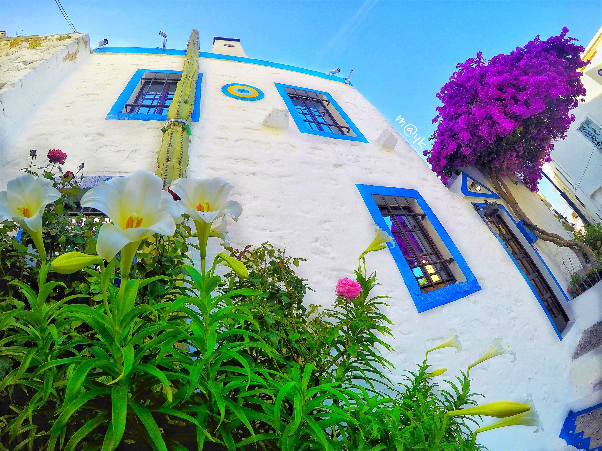 Lime Bodrum on Twitter &quot;BODRUM AŞKINDAN BODRUM EVLERİ instagram