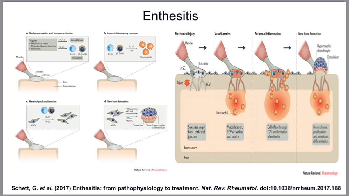 Dr. Rachel Tate on Twitter: 