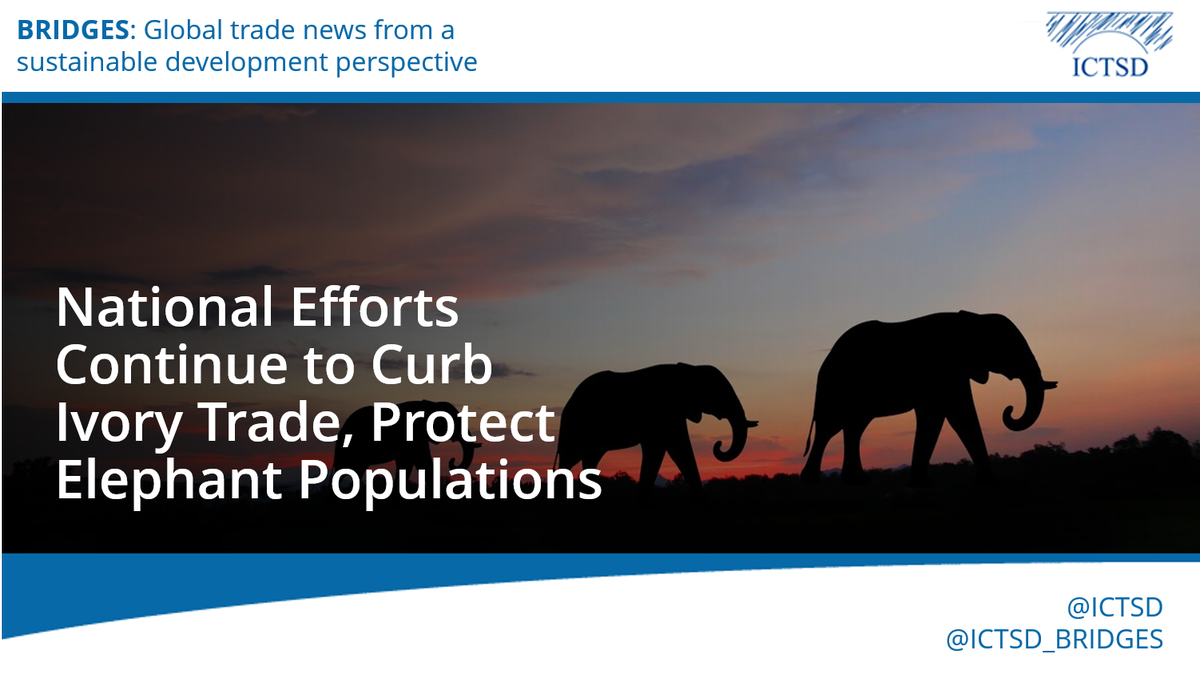 ICTSD's tweet photo. "The news that Hong Kong will ban the sale of #ivory is a breakthrough moment in the battle to save elephants from extinction” - @ErikSolheim : https://t.co/rXnQ7UKqYI https://t.co/FxK36uayKW
