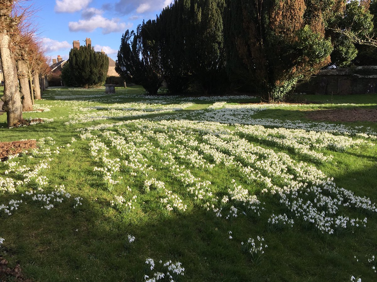 Shaftesbury Snowdrop Season is underway. Tickets for some events and the Snowdrop Shop are in the Tourist Centre in Bell Street