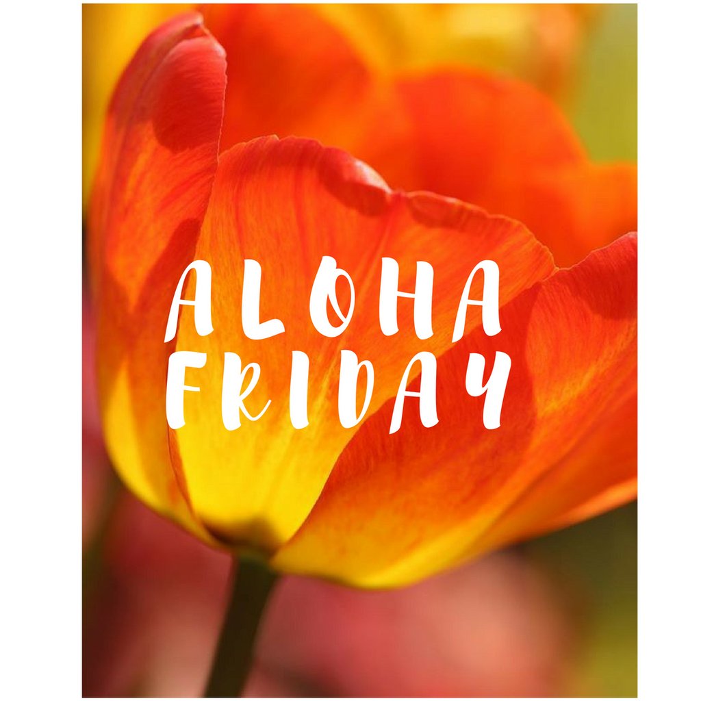 MauiMuseum's tweet photo. Aloha Pō'alima! Photo credit @alohiimagesmaui her beautiful greeting cards are available in our shop.
Museum and Shop are open today 10a-4p
#halehoikeike #baileyhouse #mauimuseum #mauihawaii #wailukutown #pua #alohafriday #aloha #shoplocal #supportlocal #alohiimagesmaui https://t.co/y1r7tFAWa1