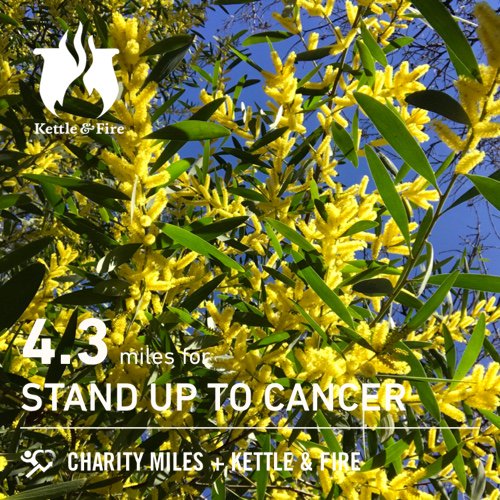 ABookAffair's tweet photo. 4.3 @CharityMiles for @SU2C. Thanks to @kettleandfire for sponsoring me. #365ForFSF #MoveWithPurpose #EveryMileMatters #CharityMiles https://t.co/MYQgRdY5z1