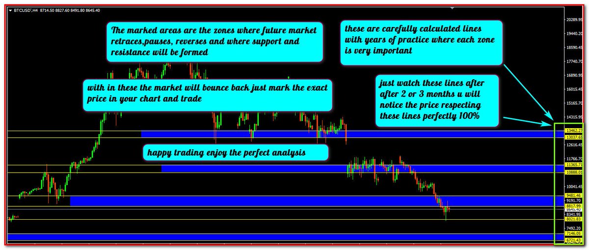 PRICE ACTION EXPERT tweet media