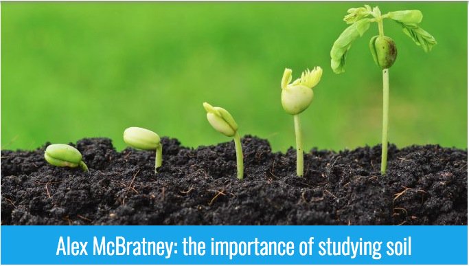 Università di Padova tweet media