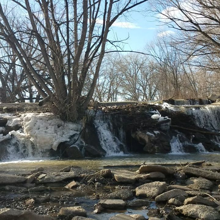 ColoradoMediaCo's tweet photo. Longmont moments of nature. . . #LOCO #goldenponds #waterfall #waterfalls #coloradowaterfallsโฆ https://t.co/r8Nck1vOWA https://t.co/HWFHVOAoJw