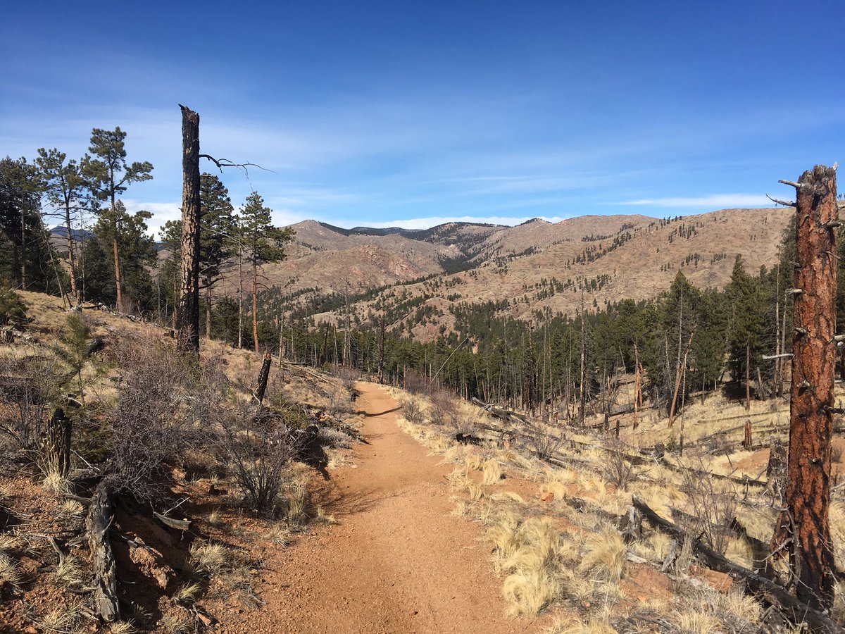JCOSRanger15's tweet photo. Trail status update for #PineValleyRanch: Dry with minimal mud/snow. @JeffcoOpenSpace #jeffcotrails #PleaseStayOnTrail #ShortcuttingCausesErosion https://t.co/TiFnTfwPB4