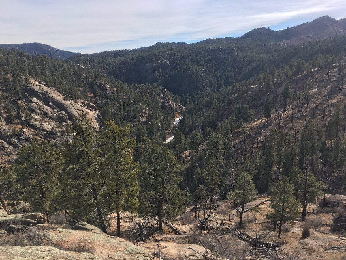 JCOSRanger15's tweet photo. Trail status update for #PineValleyRanch: Dry with minimal mud/snow. @JeffcoOpenSpace #jeffcotrails #PleaseStayOnTrail #ShortcuttingCausesErosion https://t.co/TiFnTfwPB4