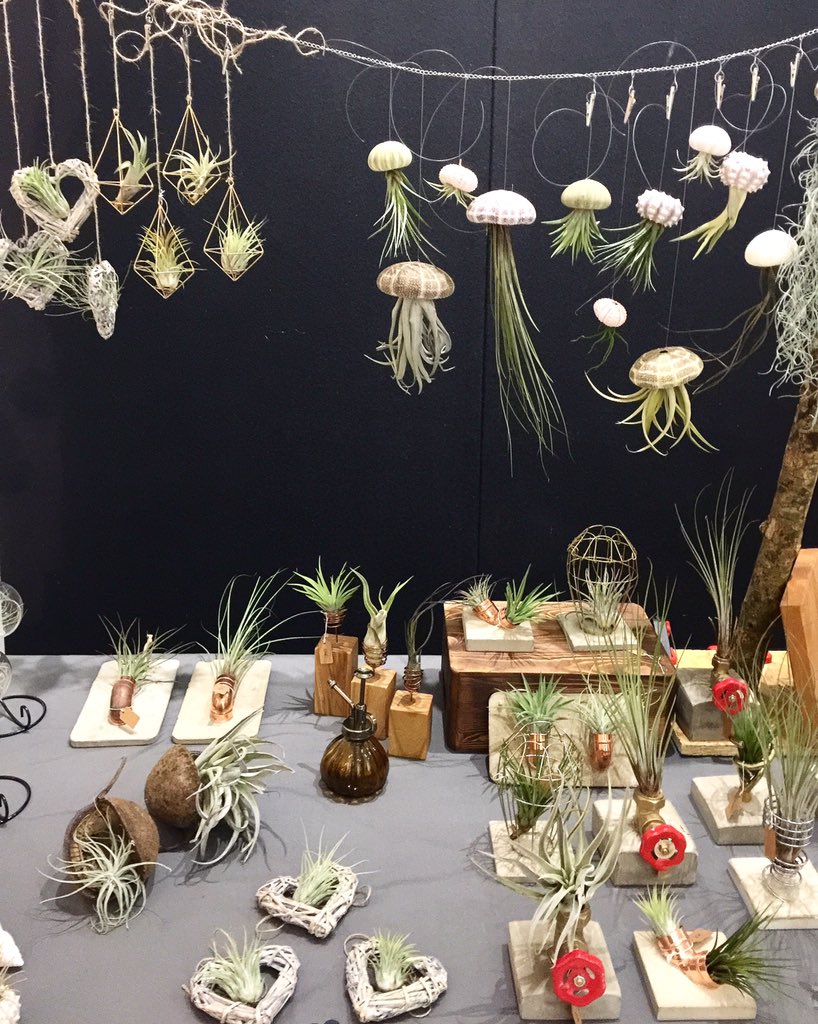 Flea Style tweet media