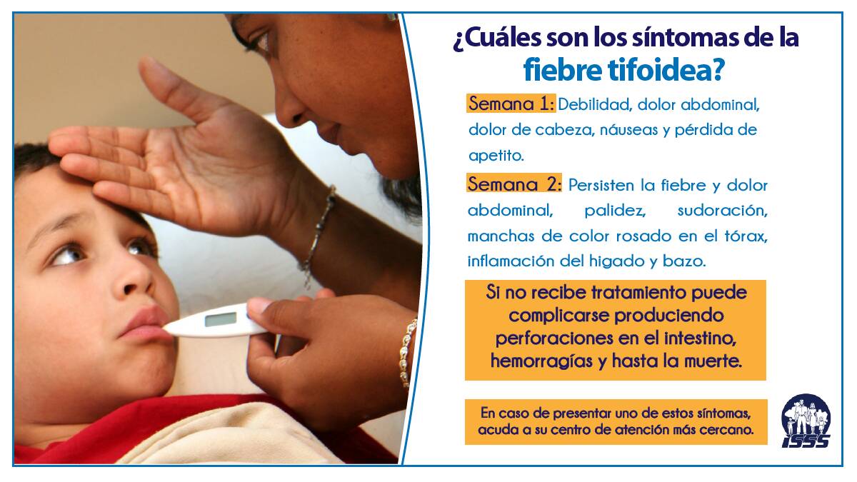 Fiebre tifoidea