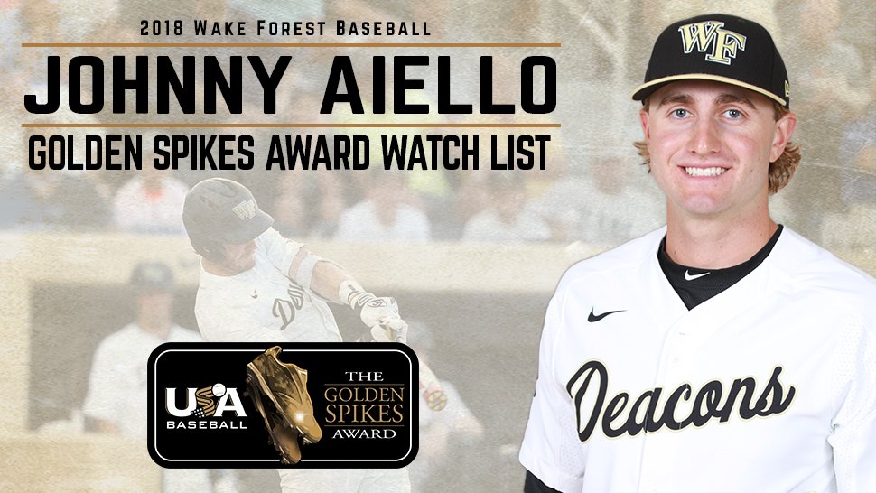 wake forest baseball jersey