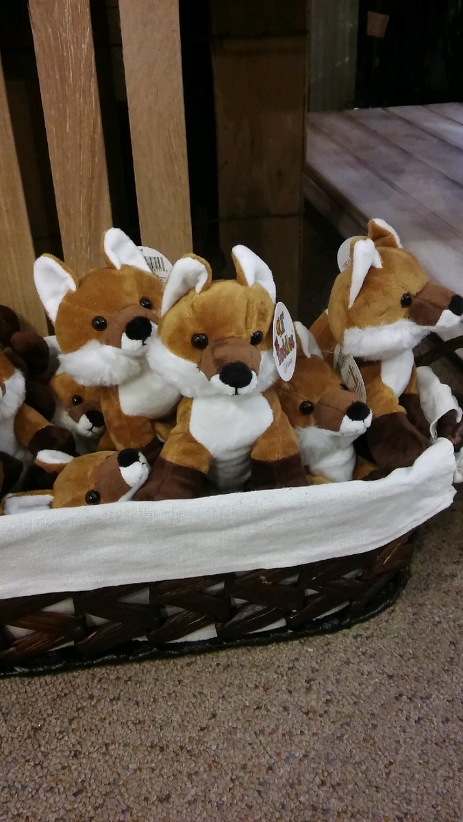 CtryLnFlorist's tweet photo. #FoxyFriday! As the count to Valentine's Day continues, we have plenty of these super adorable foxes in store for your foxy Valentine! https://t.co/hkd18iCNWK