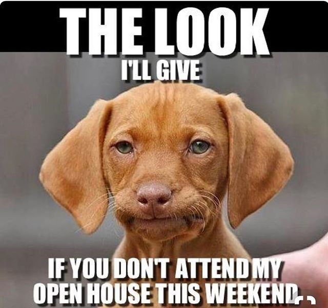 EVAnnapolis's tweet photo. We have lots of Open Houses that you can visit this weekend! See our last post for some of our wonderful listings that have open houses this weekend and be sure to stop by!! #buzzfeed #buzzfeedmeme #pinterest #meme #cometoouropenhouse #cutepuppy #openhou… https://t.co/GEL7ZZoQCj https://t.co/oQIFZBbDyG