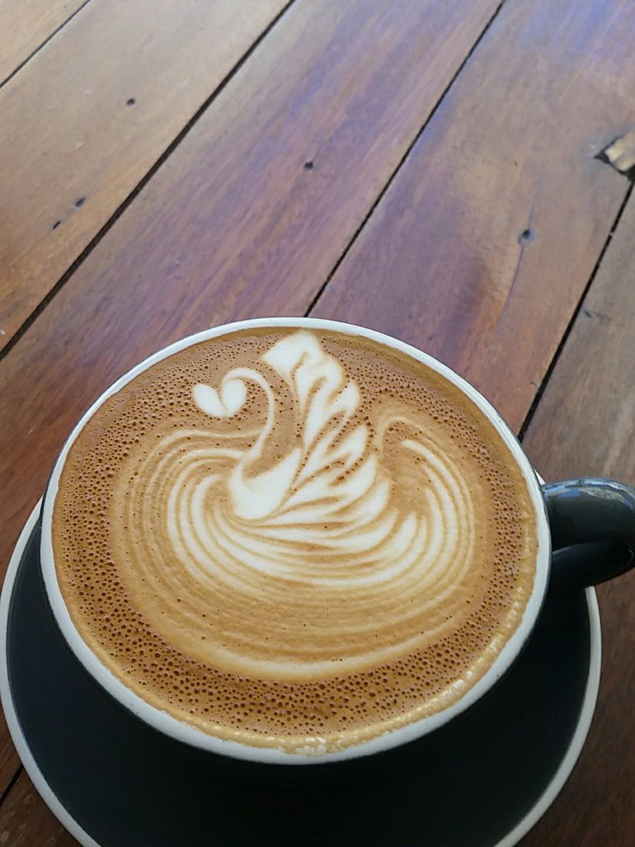 kovra's tweet photo. At station waiting for wifey. Got a flat white. They nailed the swan in the foam. https://t.co/KnvxqVU3gW