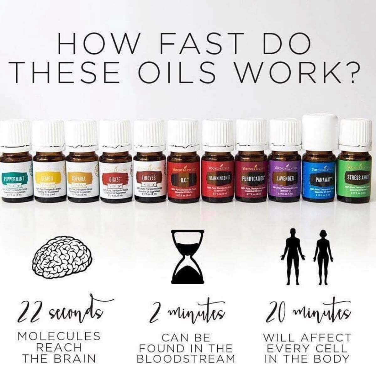 Oils_4_the_Win's tweet photo. #Essential Oils #YoungLiving #YLLife #lemon #vitality #stressaway #frankincense #peppermint #20minutez #healthyliving #wellness For more info on purchasing a starter kit visit https://t.co/GyV3l6fdJS https://t.co/NMm1x1CfEV