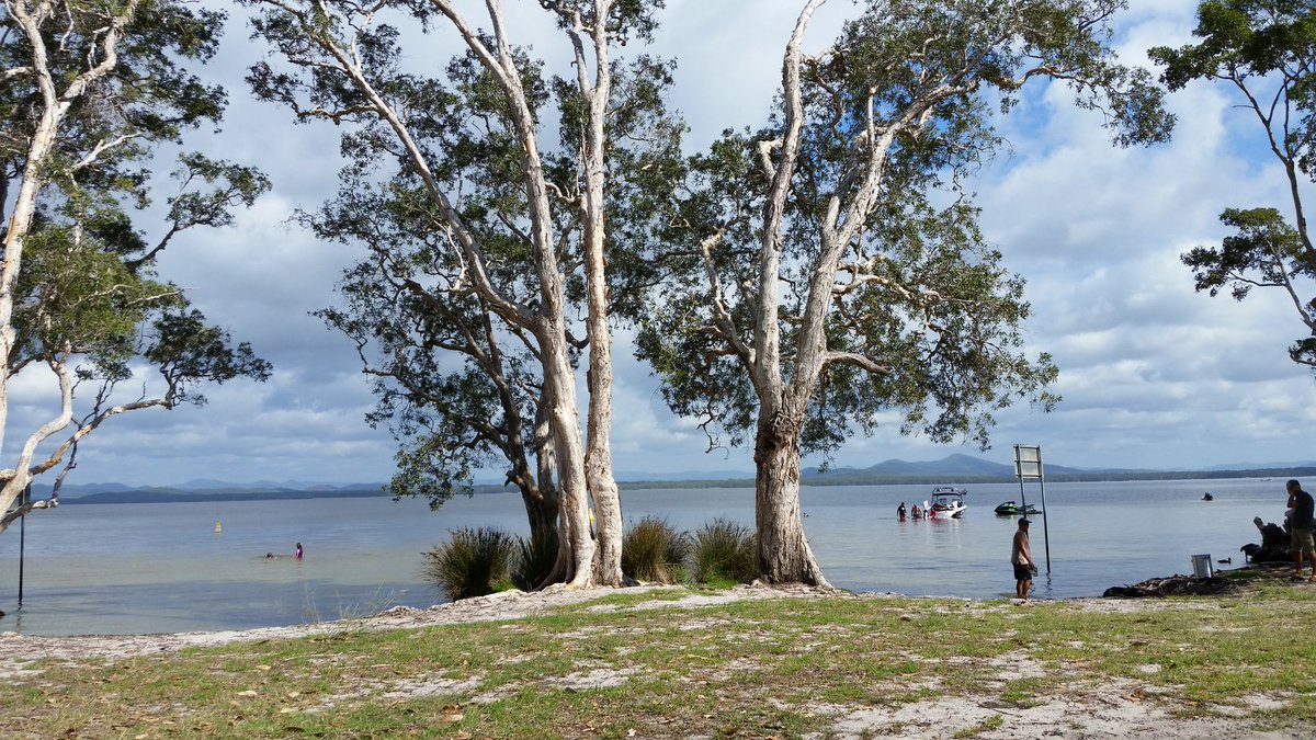 IansCampers's tweet photo. Weekend away #camping time to chill and relax in this beautiful part of the world @greatlakesnsw #mungobrush @PereeW https://t.co/PAESBARqLA