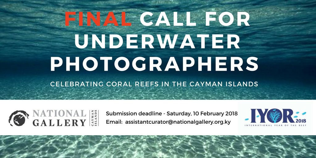 NGCI (@natgalcayman) on Twitter photo 