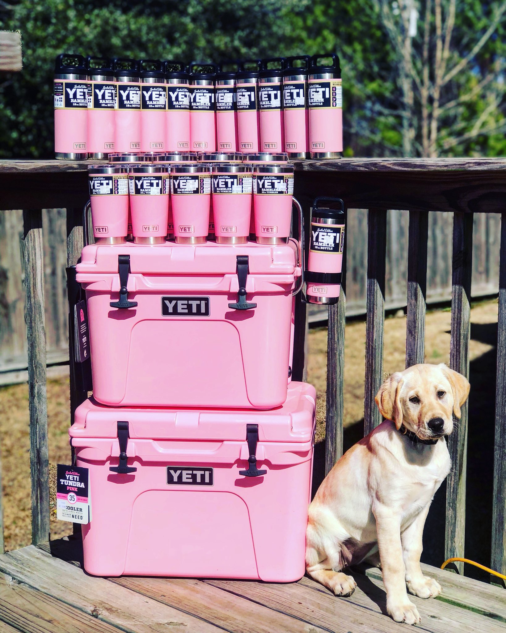 YETI Tundra 35 Limited Edition Pink Cooler