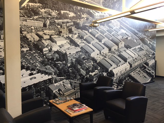 DesignStudioWB's tweet photo. Custom office #wallcovering printed and installed by #WBSignandScenic Shop https://t.co/wUMaYAHpGi