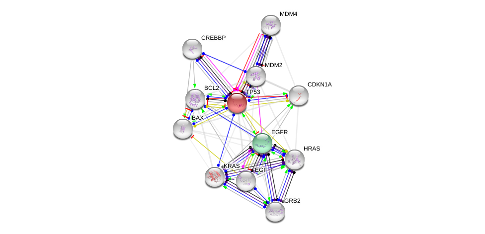 StevenXGe's tweet photo. https://t.co/HkrumGXzGe is a massive DB of protein-protein interactions(PPIs). For a list of genes, you can get the PPIs among them (below). It also has gene annotation for 1000s of species for GO enrichment.  Just added its API to iDEP (https://t.co/kaZKnaRsF2). Works great! https://t.co/6KvprxbRlh