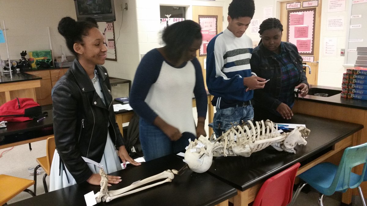 JcabildoL's tweet photo. DE Biology  class in action #science is life@BHSBULLDOGSBCPS https://t.co/KdIP5GwGDo