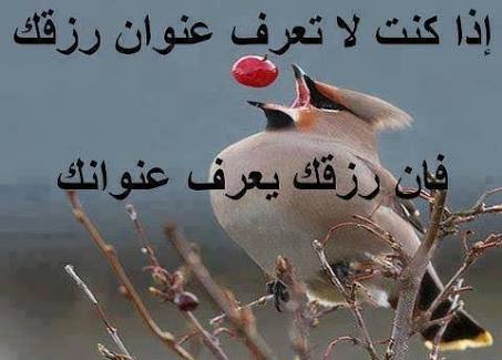nyBhs's tweet photo. كل ما يعطينه الله اياه يطلق عليه رزق المال الصحة الأولاد راحة البال الزوج الصالح الزوجة الصالحة  العمل فكل شئ رزق من الله ويجب الحمد علي كل شئ يعطينه الله اياه واذا كنت تري انه ينقصك شئ فأطلبه من #الله في دعائك 
#والرزق_ممكن_يكون https://t.co/suPgcgqNxe