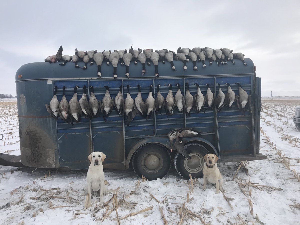 Ashton Peterson tweet media