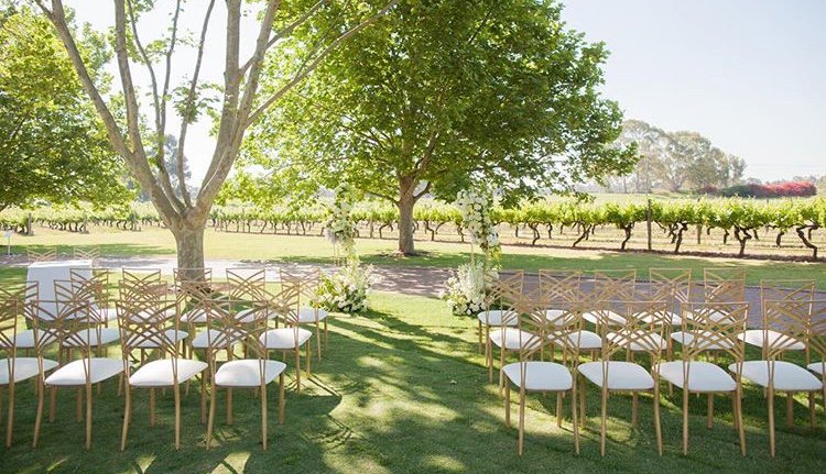 phenomenonevent's tweet photo. A beautiful recent wedding ceremony organised by White Events held at Sandalford Winery using our white and gold chairs. Pic by Hannah Laidlaw https://t.co/MB78ejRLGQ