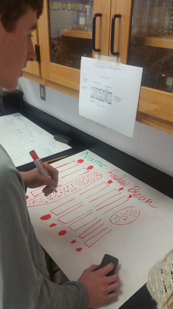 krob5570's tweet photo. Drawing/labeling the plasma membrane and uploading to Google Classroom in CP Biology today! #ahsliteracy https://t.co/EHTPzzBIo9