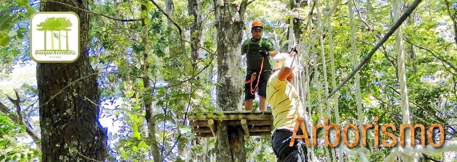 bosque_aventura's tweet photo. #Pucon ...Ven a Vivir la Experiencia .👉 #Arborismo..#ttinc 🗻👇 https://t.co/1cVXJ8K09d