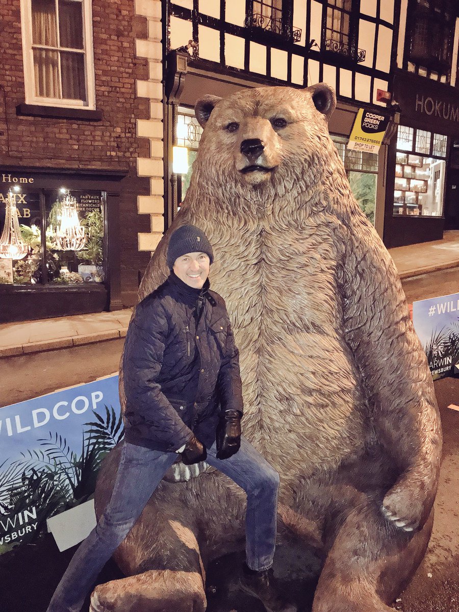 HappinessHooper's tweet image. #wildcop check out the beasts in the streets of #Shrewsbury #bearbehind