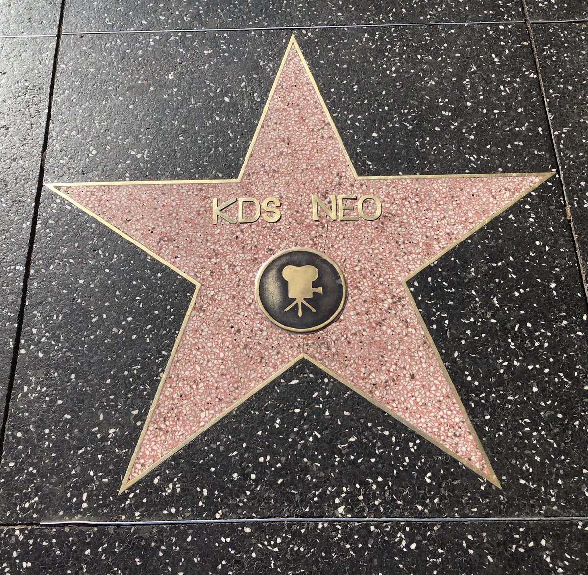 bressyr's tweet photo. KDS Neo on walk of fame in LA!KDS team you are the stars @kds_innovates #StayAhead https://t.co/hBMfw8mwuw