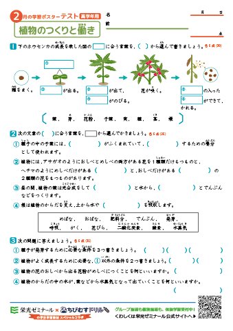 ちびむすドリル 在 Twitter 上 本日公開しました 栄光ゼミナール ちびむすドリル 小学生学習教材 スペシャルコラボ ２月の学習ポスター クイズテスト 高学年用 低学年用 小学理科 植物のつくりと働き T Co Xrv8udrl6x 植物がどのように成長