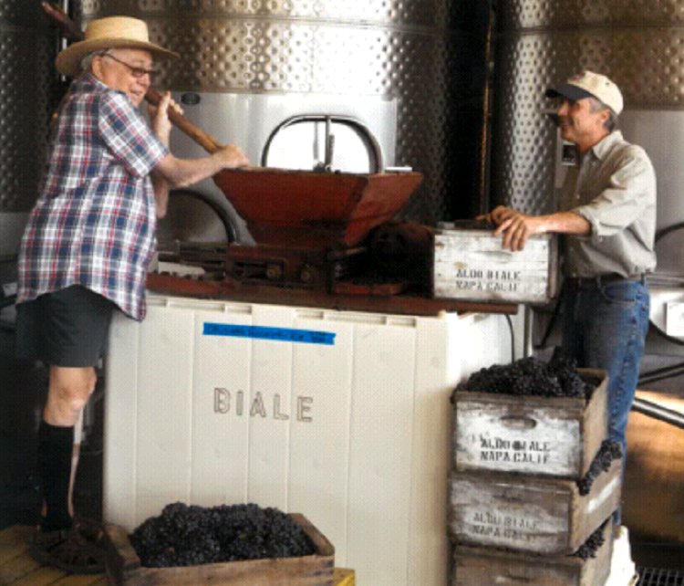 BialeVineyards's tweet photo. We love this image of Aldo and Bob Biale during Aldo's last harvest in 2009. 
 #flashbackfriday #winehistory #napavalley #winery #wine #petitesirah #robertbialevineyards #zinfandel #redwine #bialevineyards https://t.co/9EQMiZRiPb
