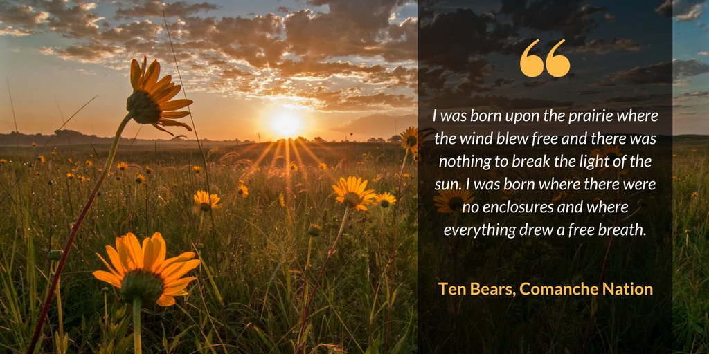 OKHumanities's tweet photo. Realize the beauty of the prairie with A Tour on the Prairies. Come make new friends and discuss the book @ElRenoLibrary on Feb. 23.  https://t.co/Hng8t2aniz  #LTAIO #bookclub https://t.co/TE4qjYjBvU