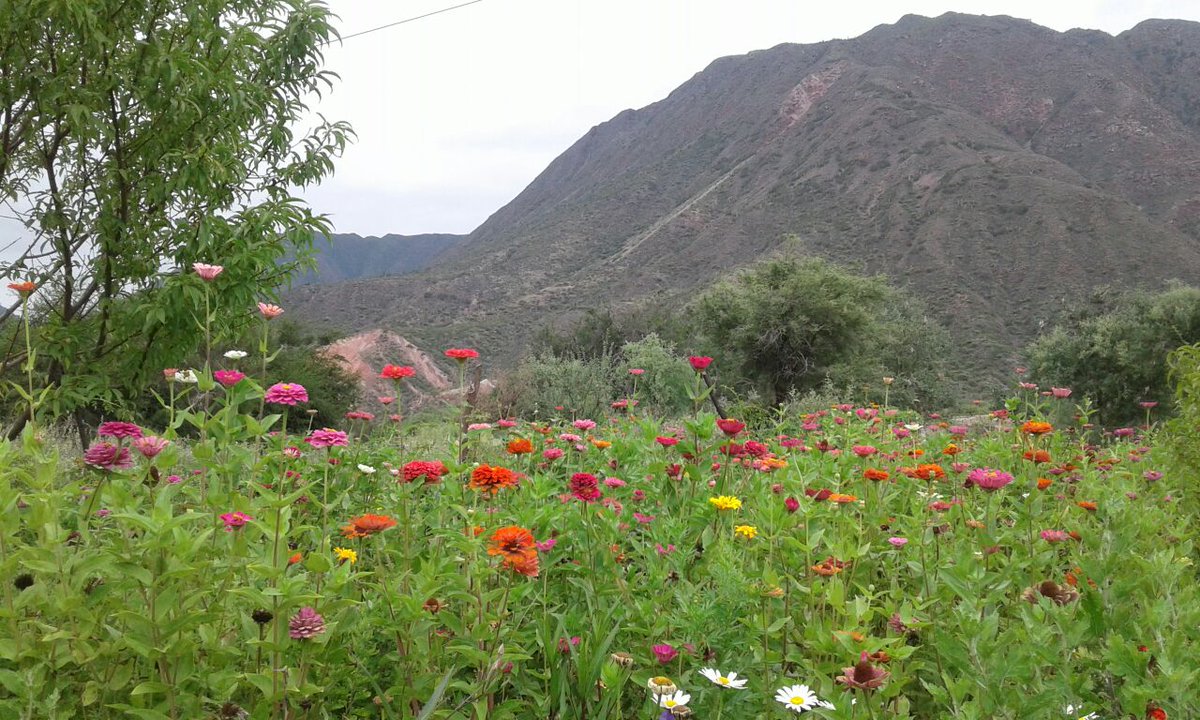 AmoMiRioja's tweet photo. @TripinArgentina @SecTurLaRioja @delpinoalvaro @Dolosuilar @ruterosarg @VisitArg @MinTurismoAR @fgarciasoria @natgeomundo @cvcviagens @triplookers Ésta tambien es #LaRioja . Entre La capital y Sanagasta  por la ruta Nac 75 está  el Dique los Sauces donde se disfruta del calor riojano 
#LaRiojaEsChayaEnFebrero 
#LaRiojaTodoElAño https://t.co/mBIGTDWlKx