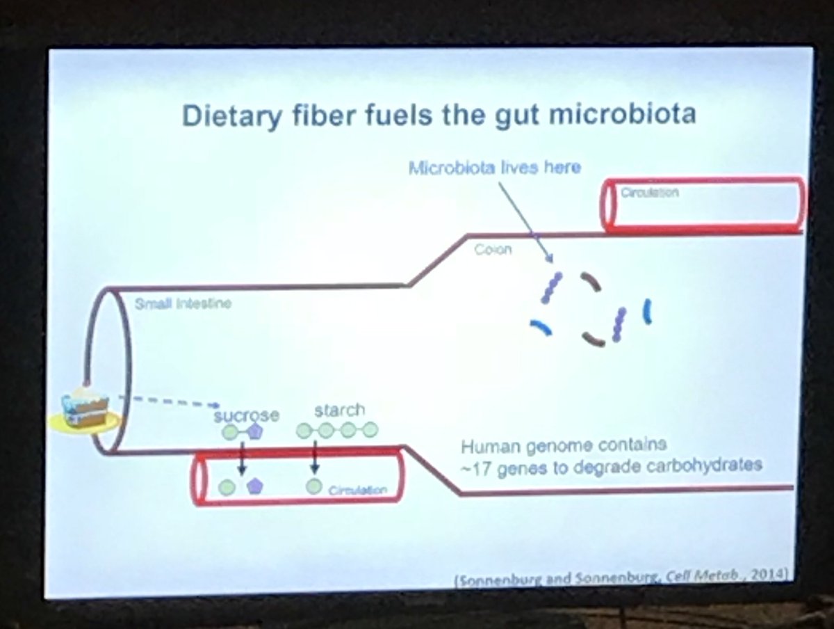 SophieEganM's tweet photo. Geeking out at #ciahkhl with the low-down on #GutMicrobiota by the rockstar @Stanford researchers of the Sonnenburg Lab. Nothing like a talk on mucus to kick off your Friday night... https://t.co/rfoF3W9tr4