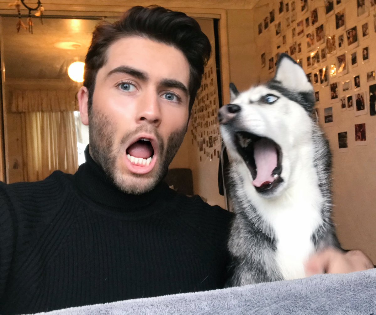 ilovefofuras's tweet photo. "Eu acho que meu dog pode realmente ser um ser humano preso em um corpo de dog" 💁🏽‍♂️ https://t.co/wh7dJ9gvXP