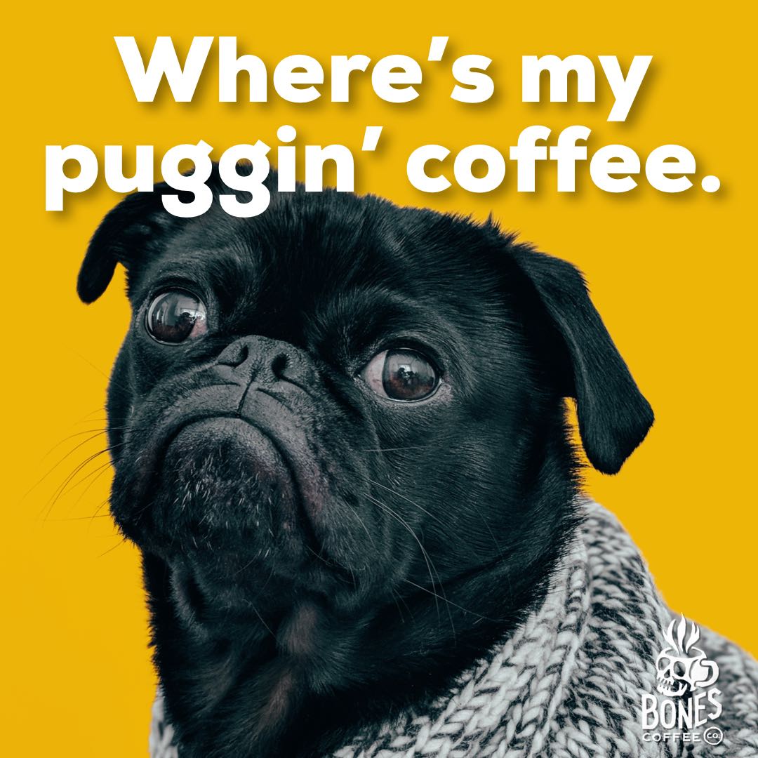 bonescoffeeco's tweet photo. Get the pug his coffee. #puggin #coffee #coffeetime #coffeememe #bonescoffee https://t.co/rfIIajVs7z https://t.co/qSBkl6OFP1 https://t.co/BMio3r3zYX
