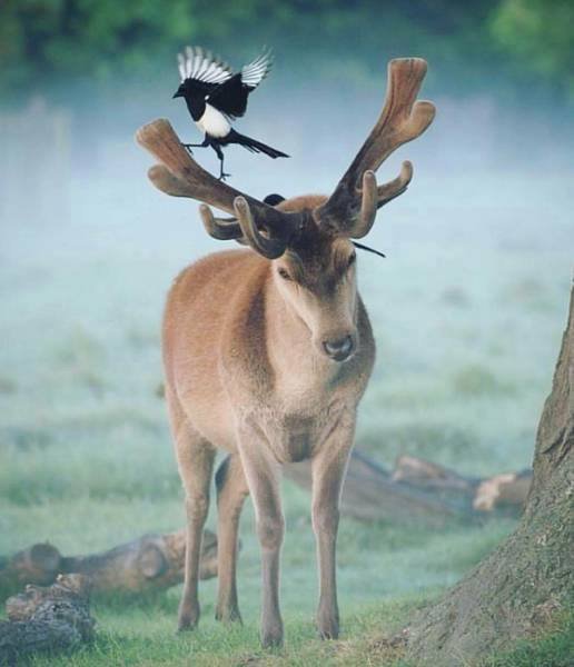 Psychology Facts (@adcbft) on Twitter photo 