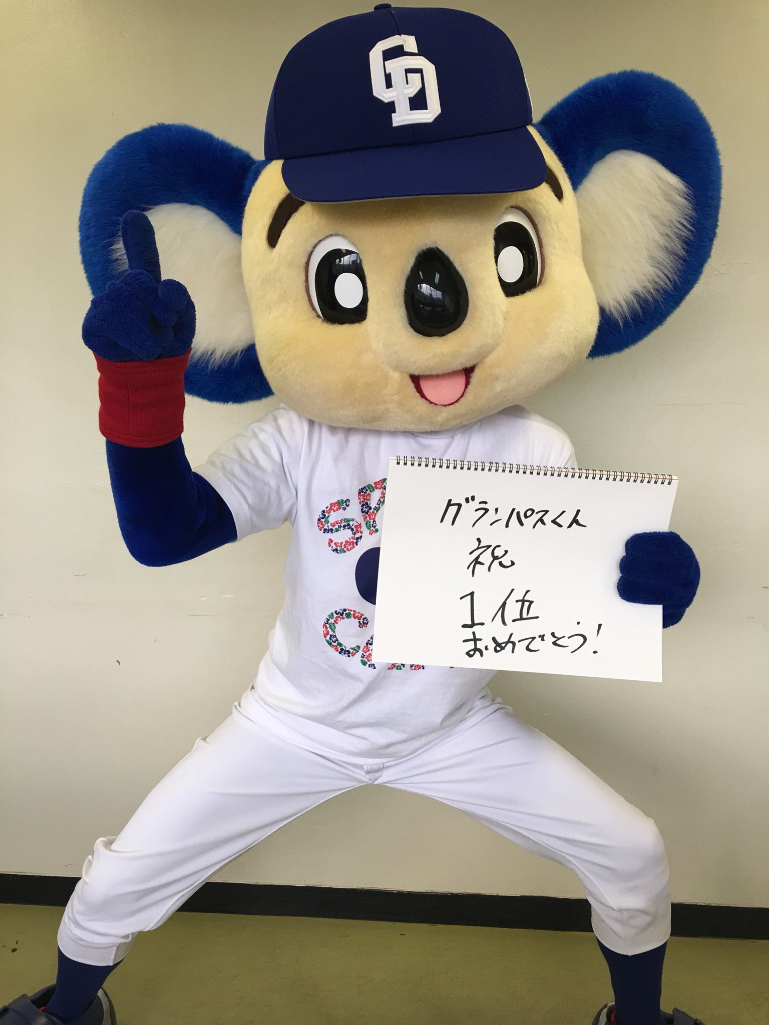 カーサンシェード ドラゴンズ ドアラ グランパス カーサンシェード