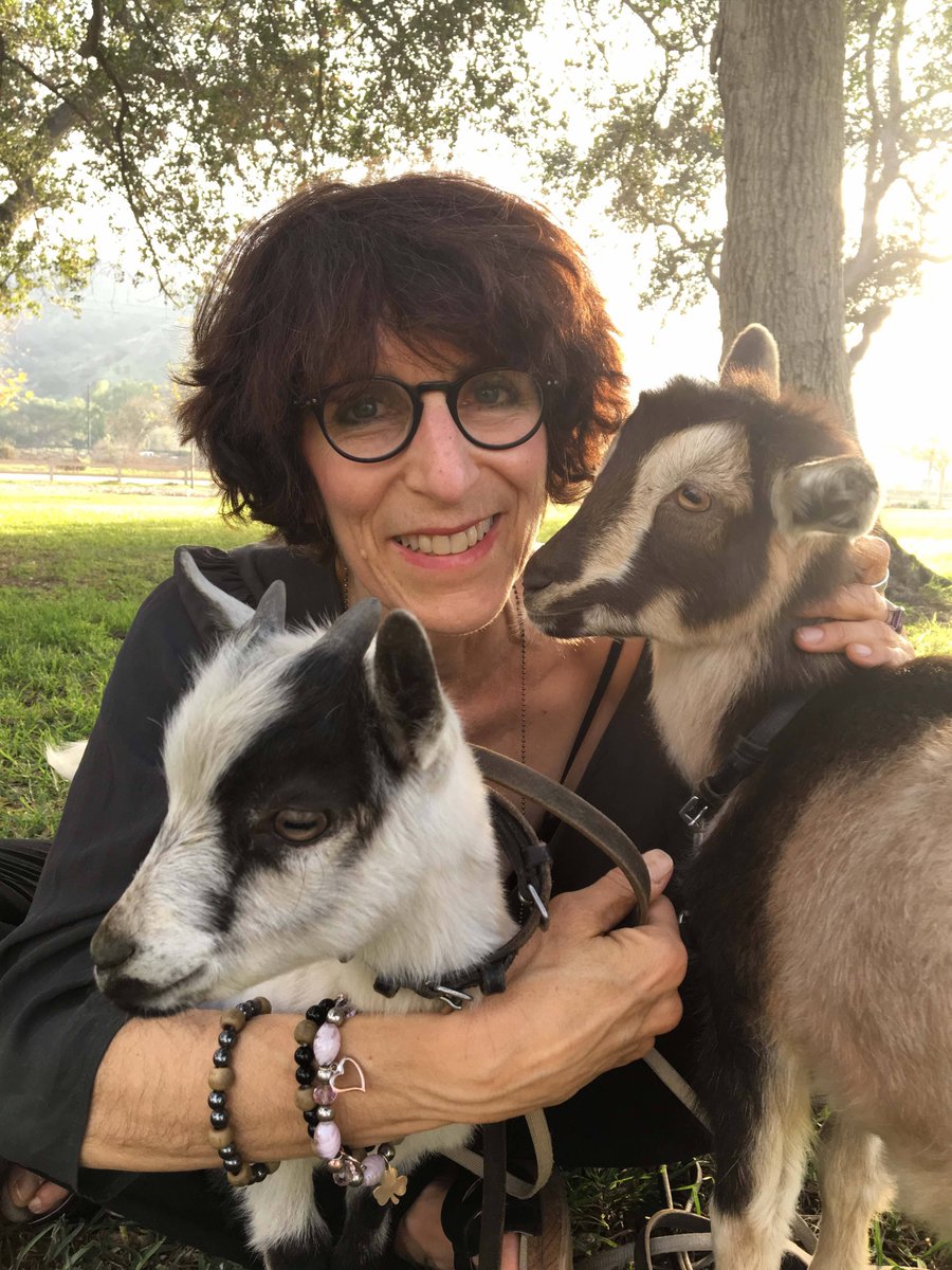 terriesilverman's tweet photo. Billy &amp; Burlap have come up with some great exercises for our Write, Draw Laugh with Baby Goats Class- Find out how fun &amp; creative they are on 2/24 
https://t.co/MqjuAzeOX0
#writers #writerslife #creativity #funtimes #AnimalLovers #goats #Mindfulness #Wellbeing #drawing https://t.co/U3OnhujC69