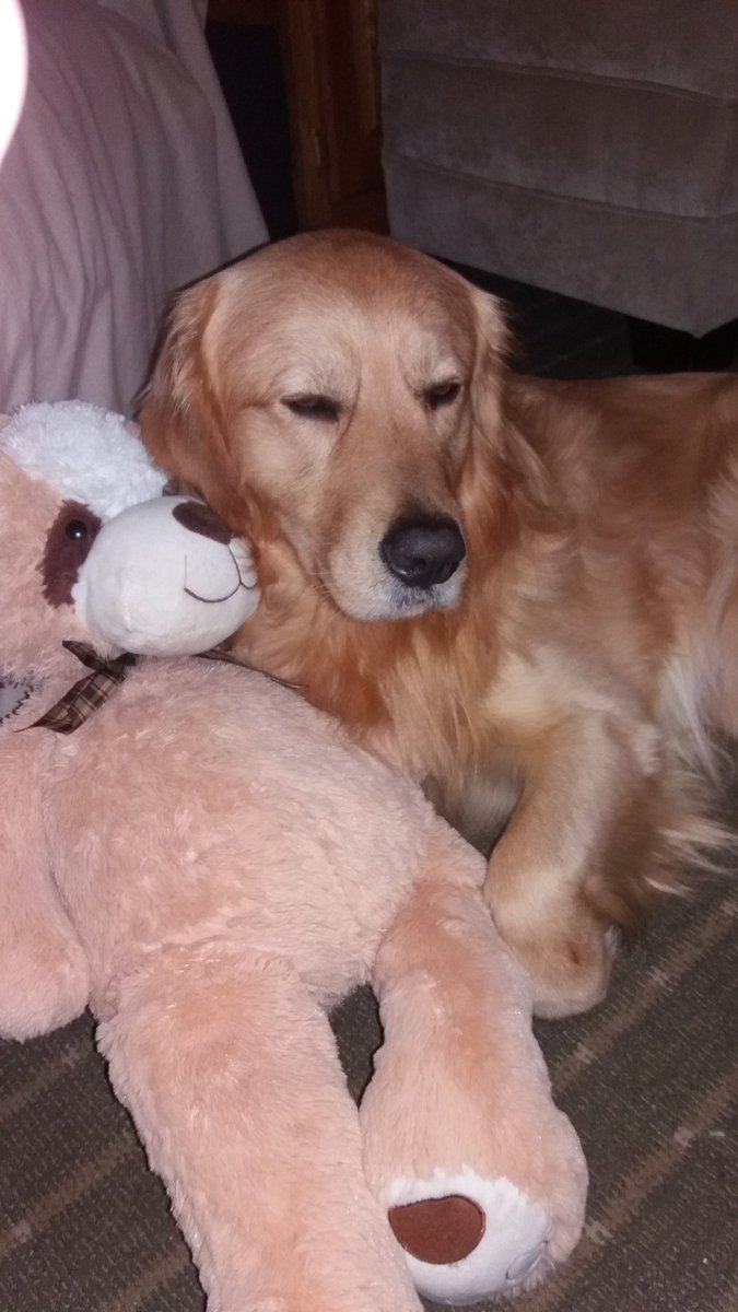 PACunnane's tweet photo. Dallas ....Just Chillin!  Why? Because it's the off season and He's storing up the energy that'll be needed to root for The Cowboys...When they take the Division &amp; Conference back next year!!
#GoCowboys 
@dallascowboys 
@CowboysNation https://t.co/F5CJbR0PWk