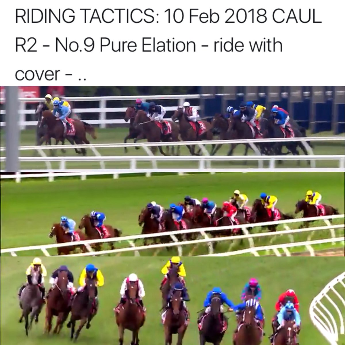 Puntnow's tweet photo. When you donβt want to win.
#pureelation
Jumped well
Strangled to near last
8 wide the turn in an 11 horse race. https://t.co/B9wE3daZBi