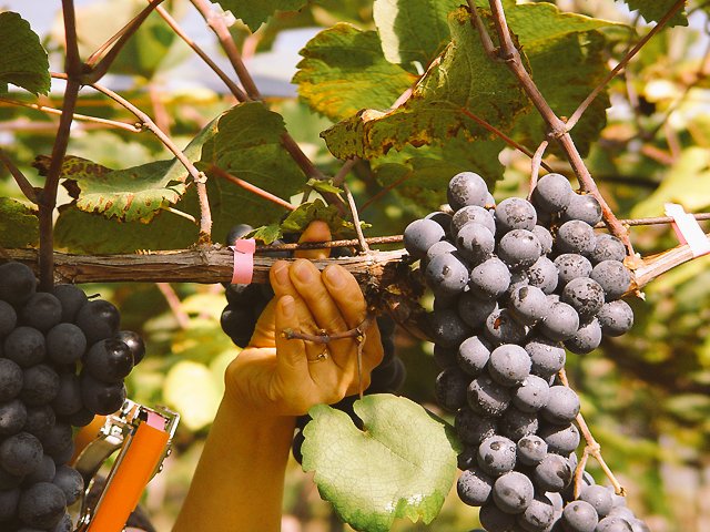 서해영 (@bjashy1) on Twitter photo 