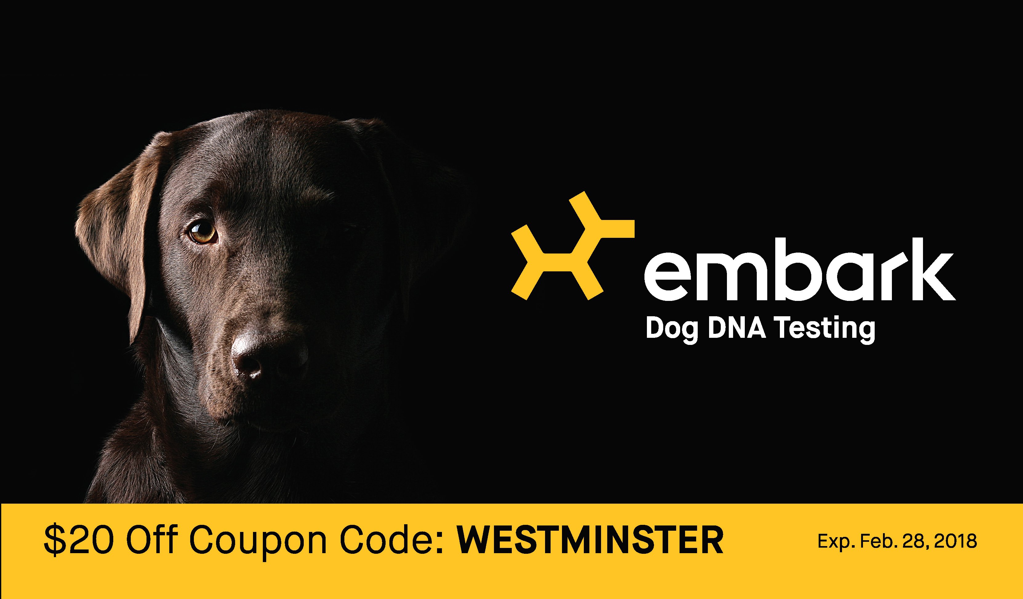Dog dna hot sale test coupon