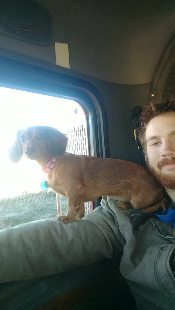 SammmmieJ's tweet photo. @farmers_edge You get some funny looks at the ethanol plant when you have a wiener on your shoulder https://t.co/ENSJmpHfKN