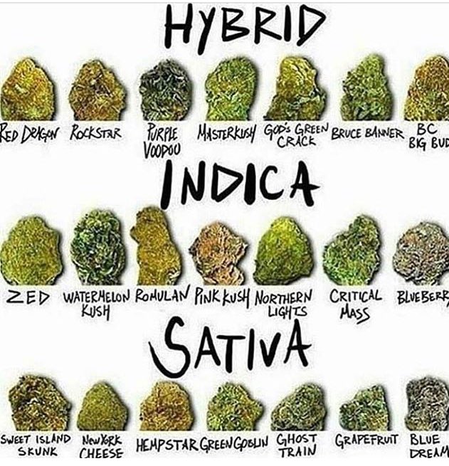 Sativa Indica Strain Chart