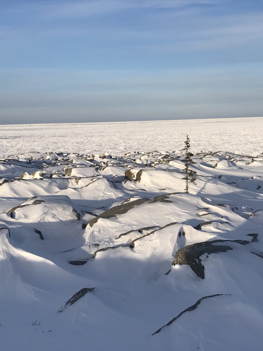 TheSheilaNorth's tweet photo. Our strength is in our resilience and our ability to maintain peace in the face of horrific hardship. While we mourn with the #ColtenBoushie family, friends and community let’s find a way to once again show the love for each other that gets us through times like this. #RIPColten https://t.co/ADEqeLEGYJ