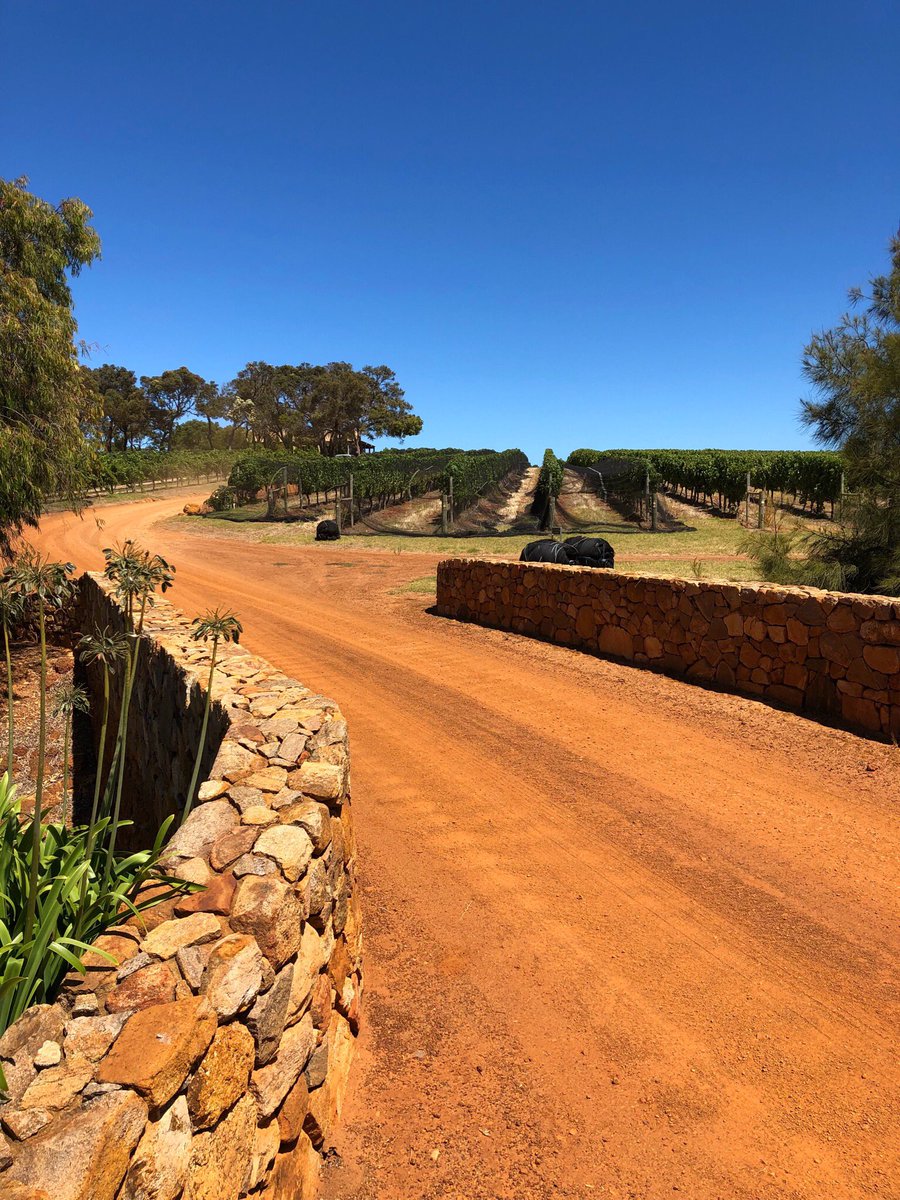 This is how we welcomed our guests to <a href="/MargaretRiver/">MargaretRiverRegion</a> this morning, tomorrow they are flying home to Northern England, we have a feeling this will be in their mind for the next few weeks

#seeaustralia #justanotherdayinwa