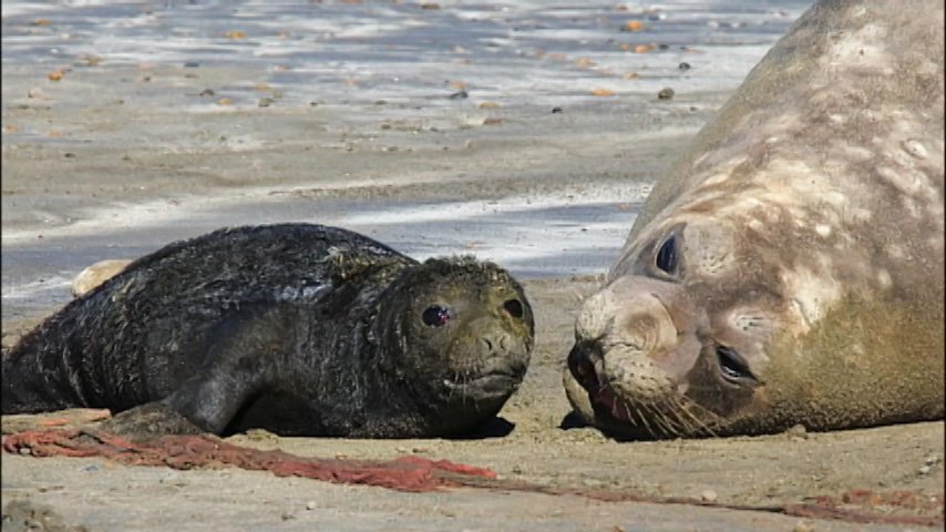 世界遺産 в Twitter